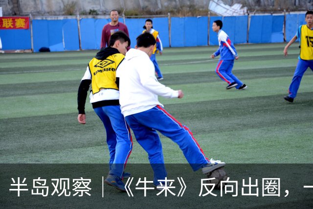 半岛观察｜《牛来》反向出圈，一场小众创作撬动的影视行业反思